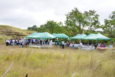 Libas leaves thesis 07 picture